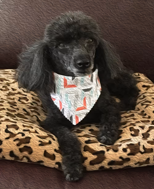 Item #95619151568614802974454947629602672965769746893472874508208249440677773967361 Media