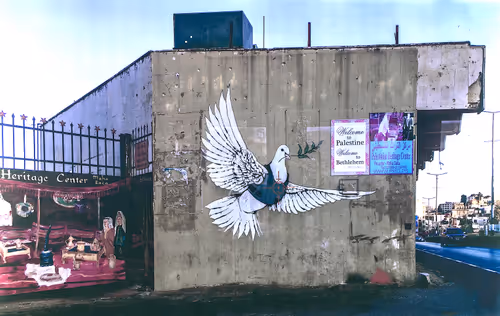 Item #79321730309677912695893230954645935630243545530239114458545662618928251142145 Media