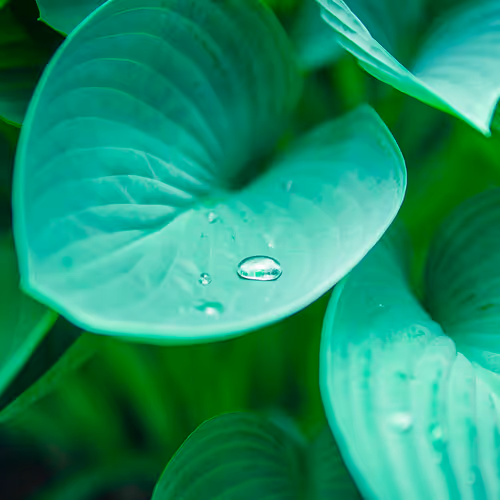 6522300135097220247605155674908152002410346938303119366053397905471862472705