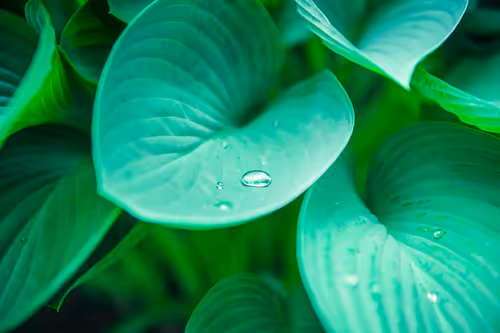 Item #6522300135097220247605155674908152002410346938303119366053397905471862472705 Media