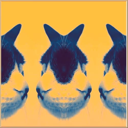 Item #62224154844929677022393842232947945299621837358898658373332336530480615653377 Media