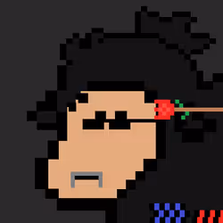 85122147178286775882516028388323701515228575826095020301917028774904223236097