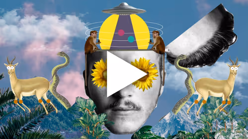 Item #38564597034361499404624058733000007751074283871891055372290281505479857274881 Media