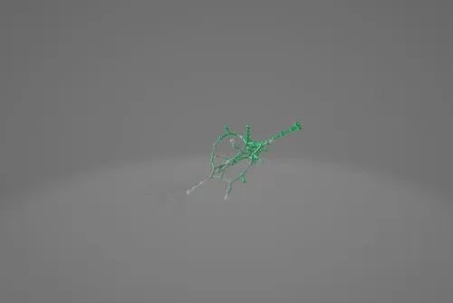 Item #102299785407486070732012999891887889085851441296059717248340461370869985312769 Media