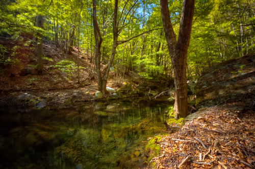 Item #6505089431552554568137386774614394979265528746054988378978093607193008930817 Media