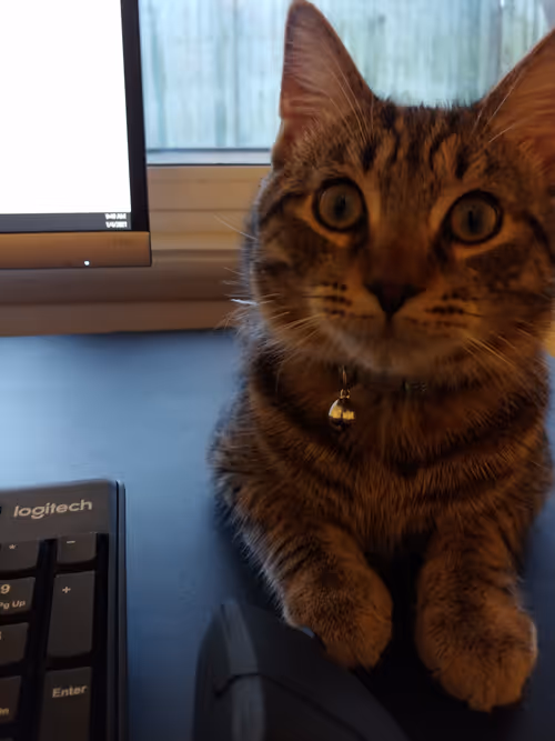 Item #109254808457018095163020782498496360103704894294844153433092594238200460869633 Media