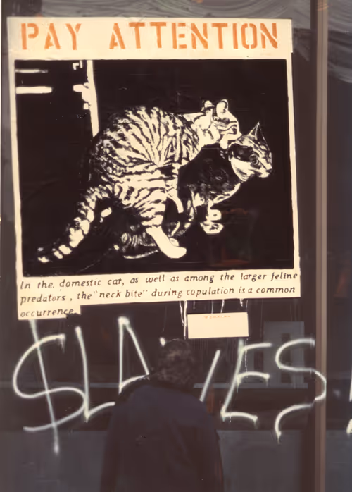 Item #26321359972833984351434126981753894799166725038868889816980362047048640364545 Media