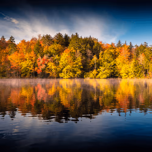 Stay Golden:  The Fall Collection