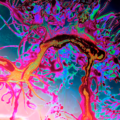 Item #74934598246377443102854186297208785696950614408936928108525223584924675604481 Media