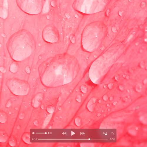 AquaDreams Collection