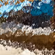 32409392888524088564262932874487485976194599980498493957062388140175381233665