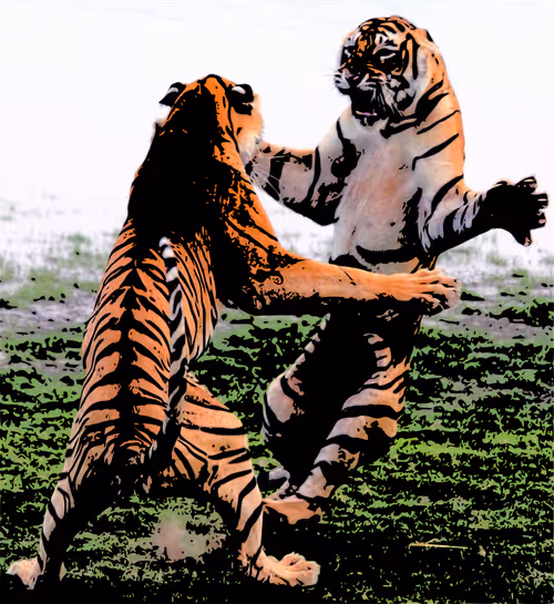 Item #32280227684796633281509489685107784796052920964773961429317660112390407061505 Media