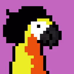 Parrot #98