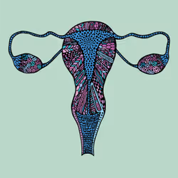 28824502245252267217549902857601847351510039266873569823091148377832690810881