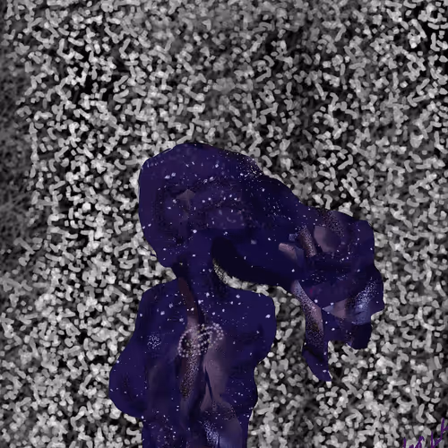 Prismatic Cosmos