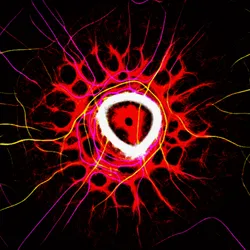 51929734946411346289540790635765095060363125039145709683616697304691775635457