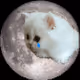 12199180567406589499829499531119432715723158992443866800414205872881425973249