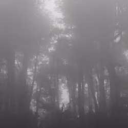 53196796515028063887052959140163751554063348728254215193663883868665284657153