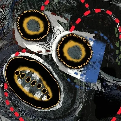 Item #35409400229040177181104554223769462636858209637608356965059811753981877682177 Media