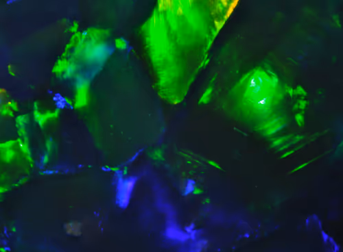 Item #21177589988234382907292029725280025606269119538694693414219510845400932155393 Media