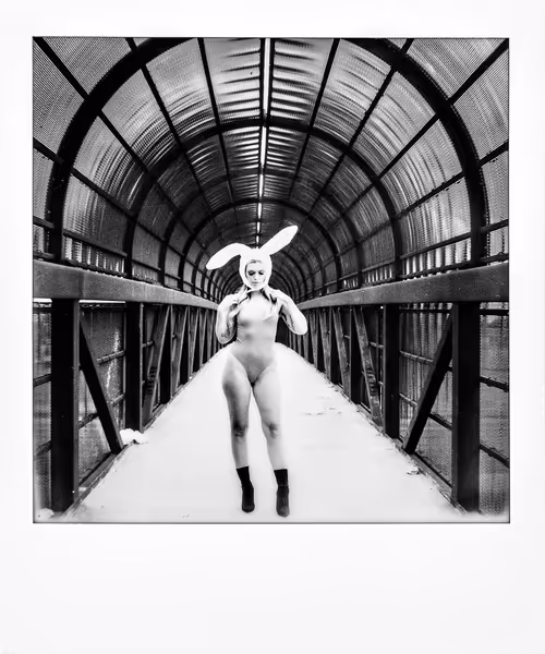 Item #10620290363906357168813205478457597742502191214056640616946314043554793521153 Media