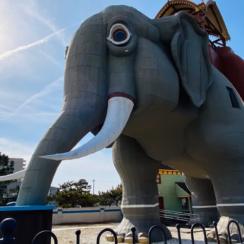 winter beach elephant