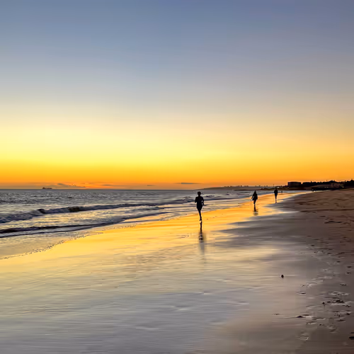 Into The Beach