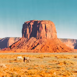 Spirits Of The West