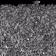 83347256788620393311453184698198136194389094398868756385892417970563650158593