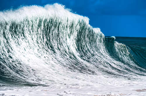 Item #19717472655541438358875111876949792254809295352552867053113992241561871581185 Media