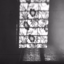 Expressive Shades #1