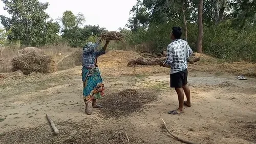 Item #31238153525127499550772937323326202416823057881025068708881805759090073272321 Media