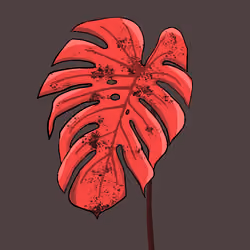 MONSTERA MOOD #049
