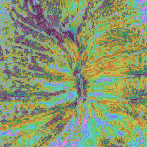 Item #38748192286267356930689689992324455160612969586483070519053316906136612372481 Media