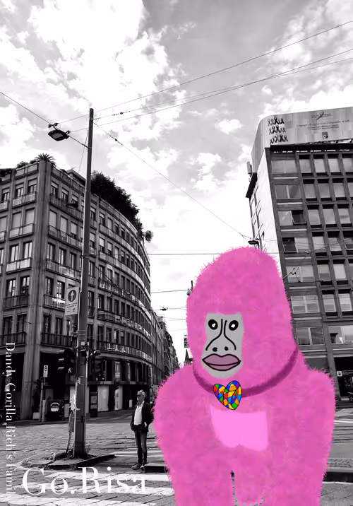 Item #42314213366083265623559810217543602715447152798818516516838269800276350205953 Media