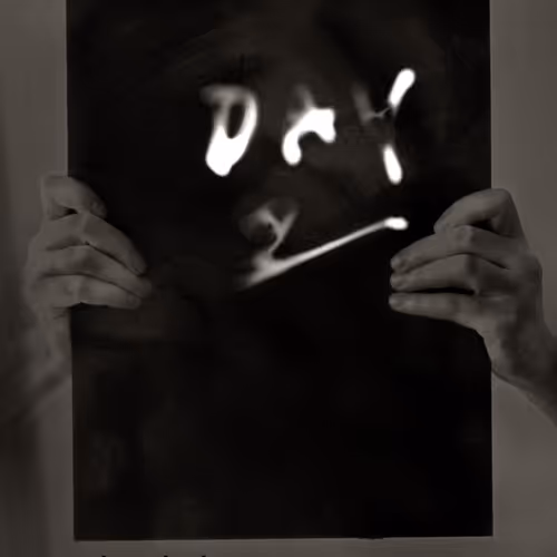 No Words 365 Days In The Darkroom