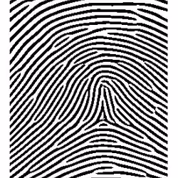 Fingerprint #10