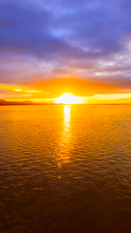 Item #39951044094938876447771991432305732447868191960085797754888111700882606784513 Media