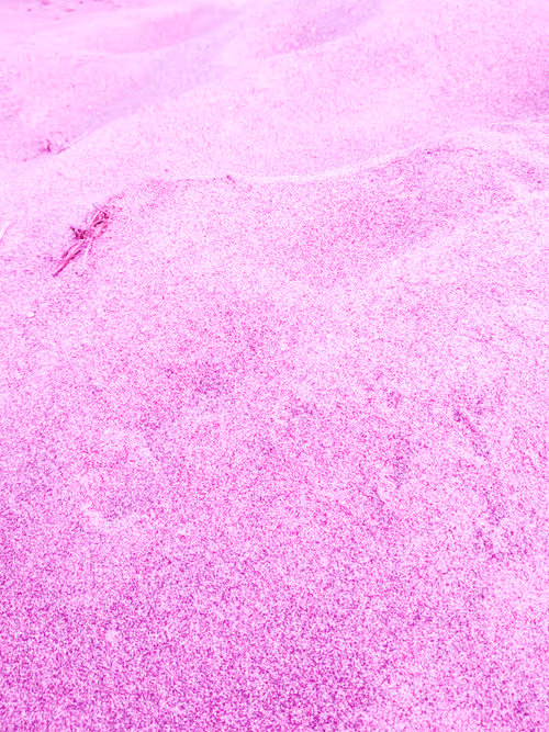 Item #98843954857266856101330559780238873570552098425130206222908041860424635777025 Media