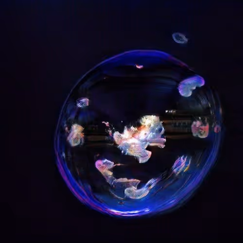 Lifeinbubble 9nMOU4wimF