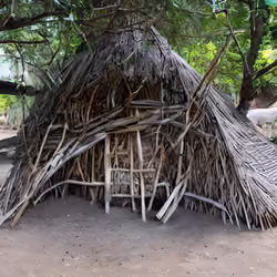 Primitive hut #3