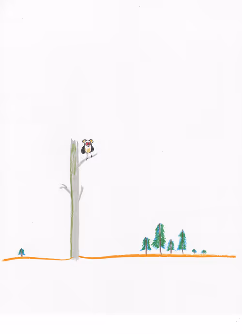 Item #23218060550821745609800623272602319113326301581644647180881602210823411859457 Media