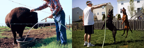 Item #95798395344160826478230491499252628572040143534185362822691349302721688633345 Media