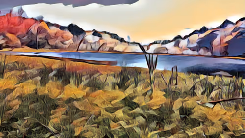 Item #40767780505199480056822134959254116882416403955440335398043331401547394318337 Media