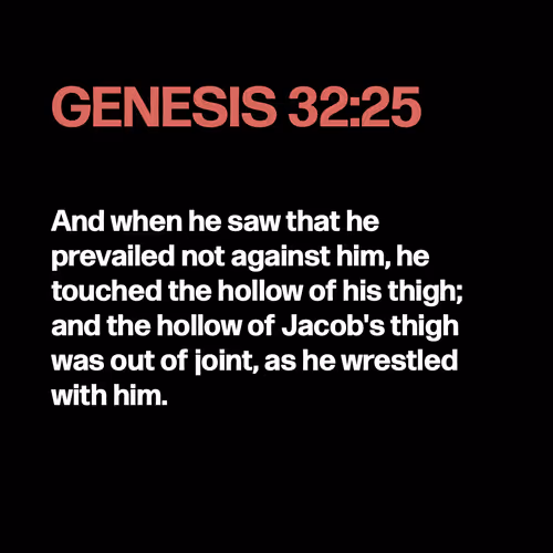 Item #22053356606985035317572807567829034573317121579682343289603634410473417342977 Media