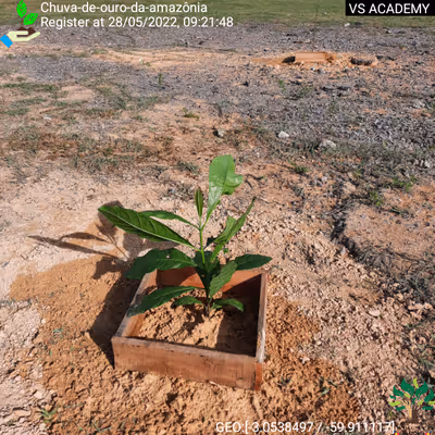 Item #8500196597889277390194123329501889087166328879864934763448348786332918611969 Media