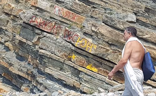 Untitled Collection #21350482