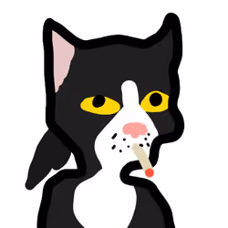Low effort Cat 13