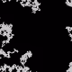 46443140435526123263349023868976142915031731050544552291035459366016937623553