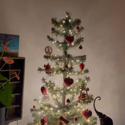 62175267119956854346768101641824727859604734918017792062945530238126042120193